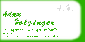 adam holzinger business card